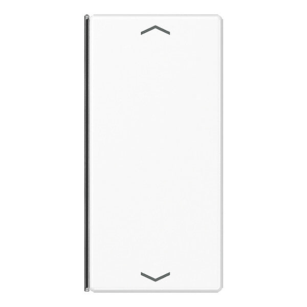 JUNG Taste 2-fach aws mit Symbolen A 402 TSAP WW